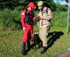 Foz do Iguaçu, 19 de novembro de 2018. Prova de Certificação de Cães - BM