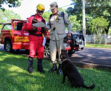 Foz do Iguaçu, 19 de novembro de 2018. Prova de Certificação de Cães - BM