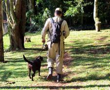 Foz do Iguaçu, 19 de novembro de 2018. Prova de Certificação de Cães - BM