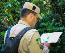 Foz do Iguaçu, 19 de novembro de 2018. Prova de Certificação de Cães - BM