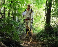 Foz do Iguaçu, 19 de novembro de 2018. Prova de Certificação de Cães - BM