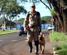 Foz do Iguaçu, 19 de novembro de 2018. Prova de Certificação de Cães - BM